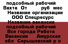 подсобный рабочий . Вахта. От 30 000 руб./мес. › Название организации ­ ООО Спецресурс › Название вакансии ­ подсобный рабочий - Все города Работа » Вакансии   . Амурская обл.,Серышевский р-н